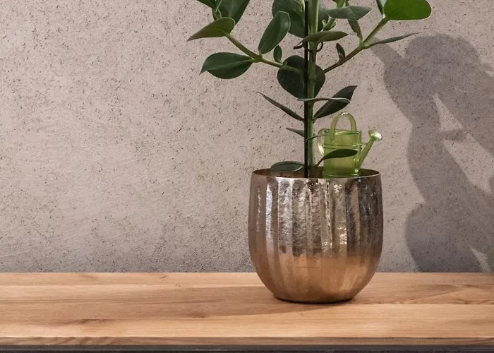 Glanz&glory Pensionat 3*